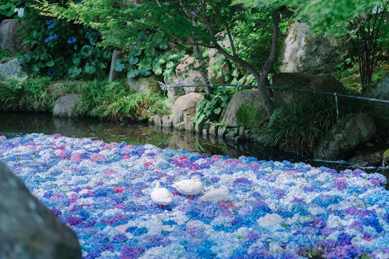 Amabiki Kannon Temple