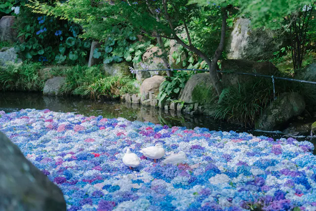 Amabiki Kannon Temple