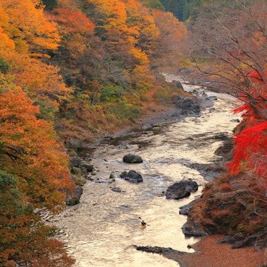 Mitake Gorge Mitake Gorge