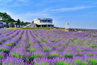 Hinode Park, Kamifurano