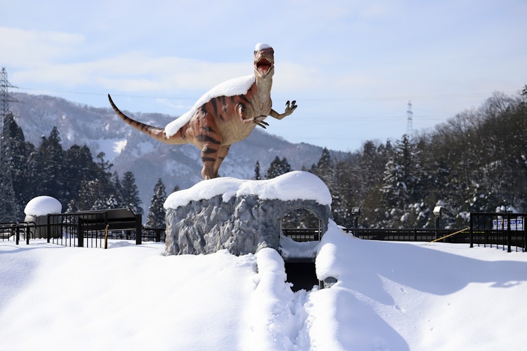 Roadside Station "Dinosaur Valley Katsuyama"