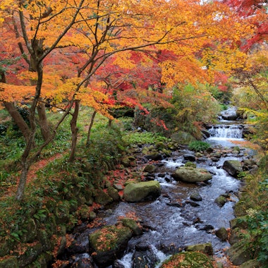 Atami Plum Garden Atami Plum Garden