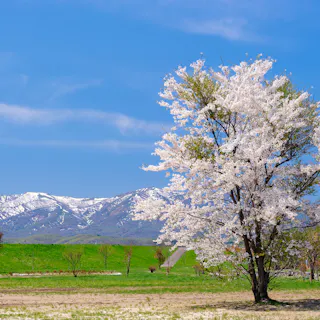 Shiribetsugawa Lan Lan Park Shiribetsugawa Lan Lan Park