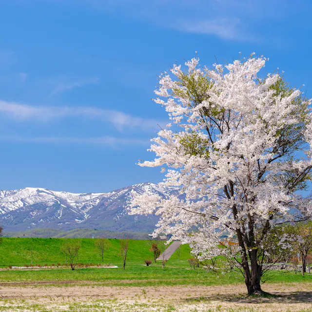Shiribetsugawa Lan Lan Park Shiribetsugawa Lan Lan Park