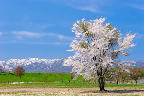 Shiribetsugawa Lan Lan Park