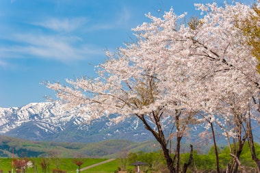 Shiribetsugawa Lan Lan Park