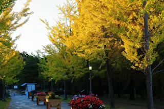 Rokuha Park, Kusatsu