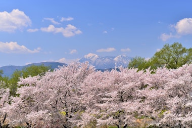 Chikumagawa Fureai Park