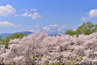 Chikumagawa Fureai Park