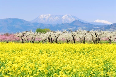 Chikumagawa Fureai Park