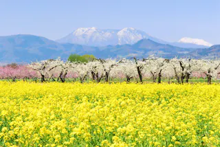 Chikumagawa Fureai Park