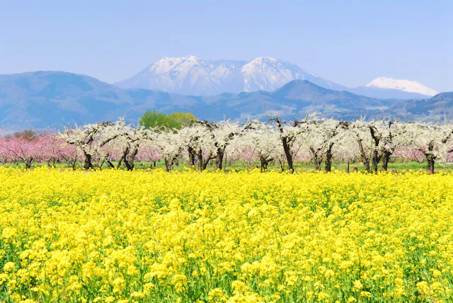 Chikumagawa Fureai Park