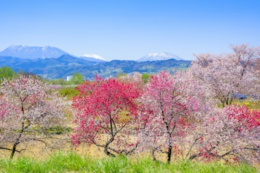 Chikumagawa Fureai Park