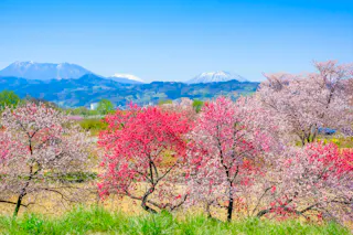 Chikumagawa Fureai Park