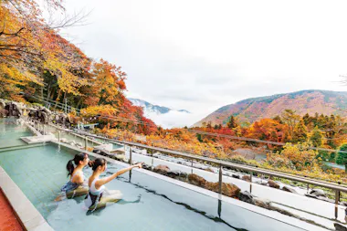 Hakone Kowakien Yunessun