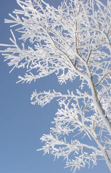 Rokko Snow Park Rokko Snow Park