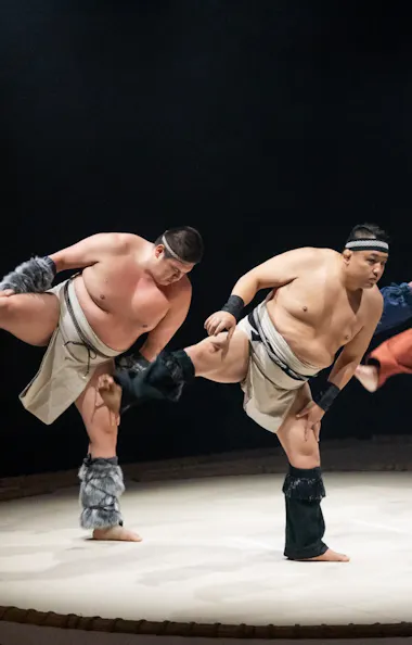 Live Sumo Show and Bento Experience Live Sumo Show and Bento Experience