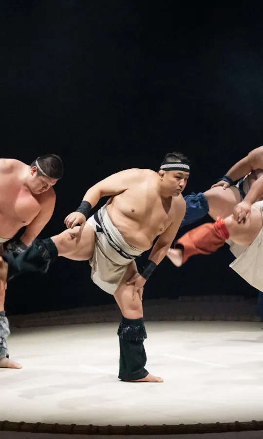 Live Sumo Show and Bento Experience Live Sumo Show and Bento Experience