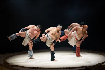 Live Sumo Show and Bento Experience