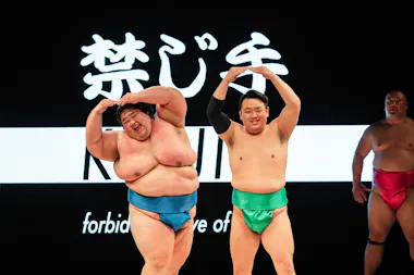 Live Sumo Show and Bento Experience