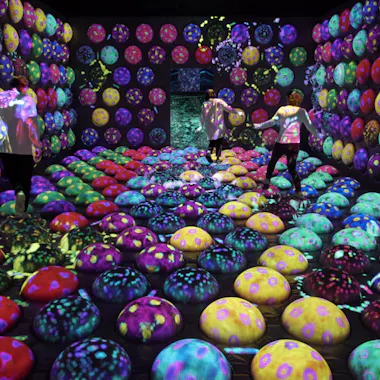 TeamLab Forest TeamLab Forest