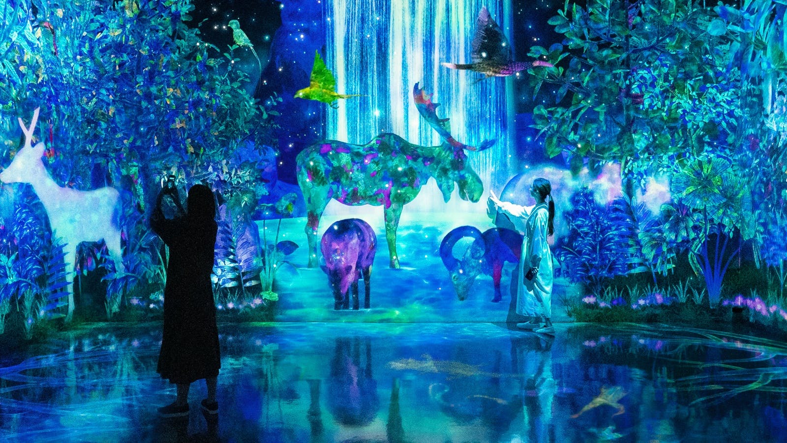 TeamLab Forest Admission Ticket + Original Towel - Trip To Japan