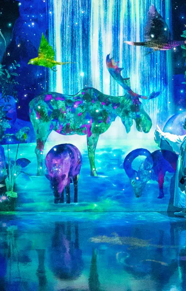 TeamLab Forest TeamLab Forest