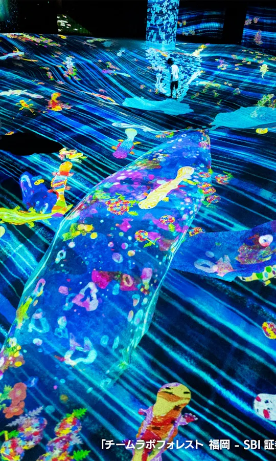 TeamLab Forest TeamLab Forest