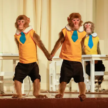 Monkey Land & Anitown Nikko Monkey Land & Anitown Nikko