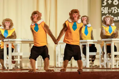 Monkey Land & Anitown Nikko