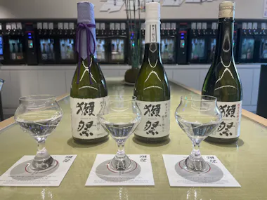Sake Tasting Experience