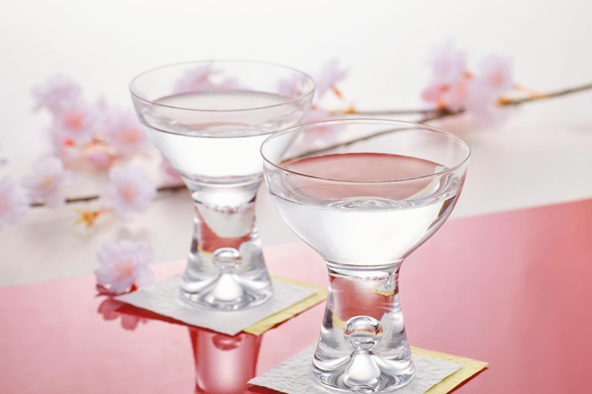 Cherry blossom & Japanese Sake Tasting in Shinjuku