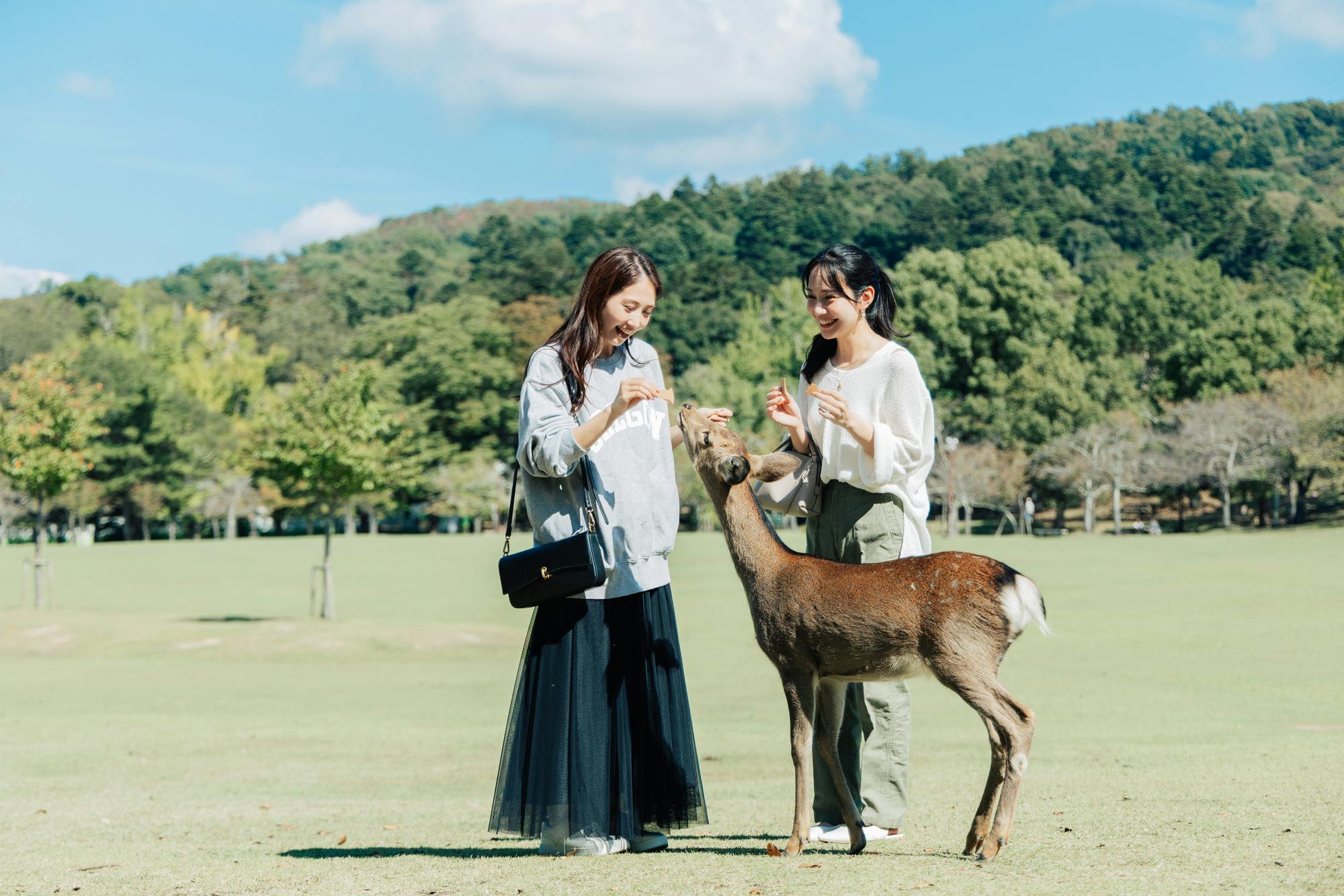 Nara Park