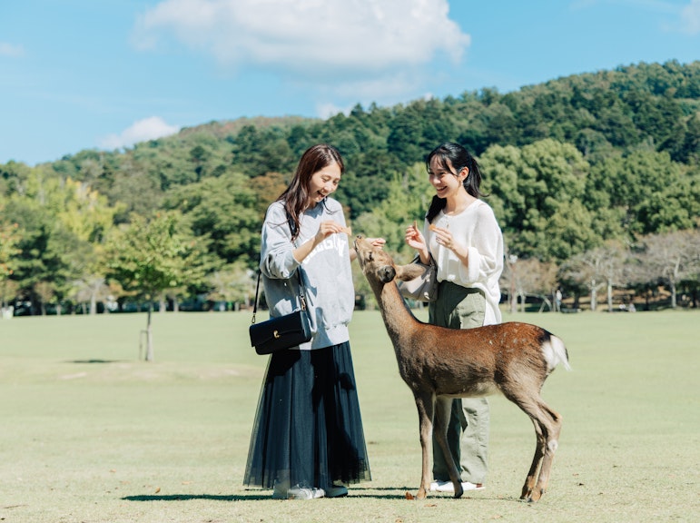 Nara History Guided Half-Day Bus Tour with Lunch from Kyoto