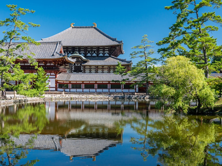 English-Guided Sightseeing Bus Tour of Nara Park