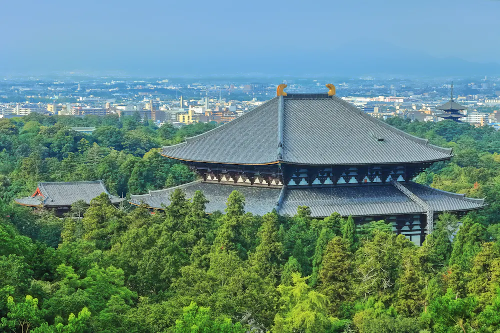 Nara Okuyama Driveway