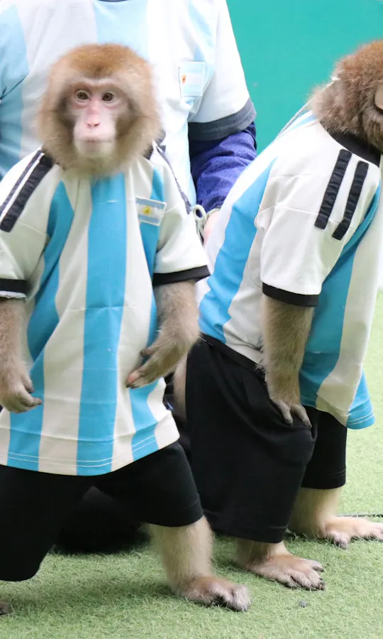 Monkey Land & Anitown Nikko Monkey Land & Anitown Nikko