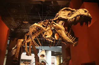 Ibaraki Nature Museum Park