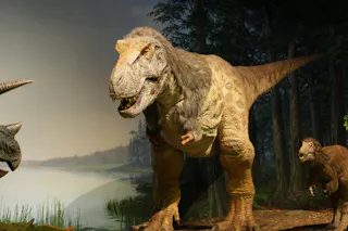 Ibaraki Nature Museum Park