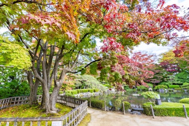 Momiji Park