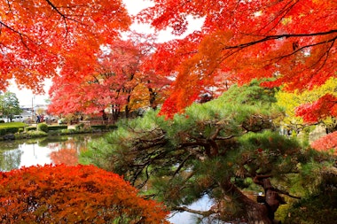 Momiji Park
