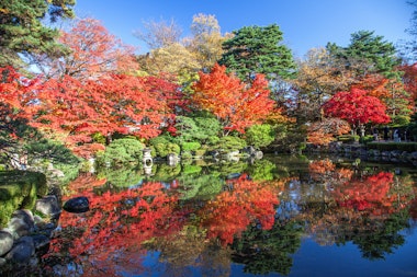 Momiji Park