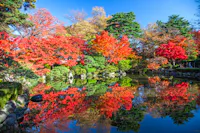 Momiji Park