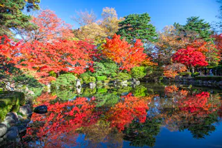 Momiji Park
