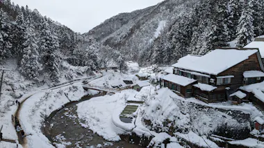 Snow Monkey Bus Tour