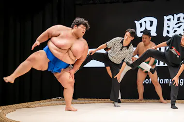 Sumo Show Workshop Experience