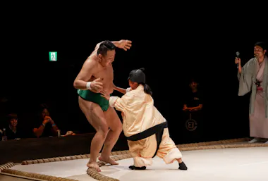 Sumo Show Workshop Experience