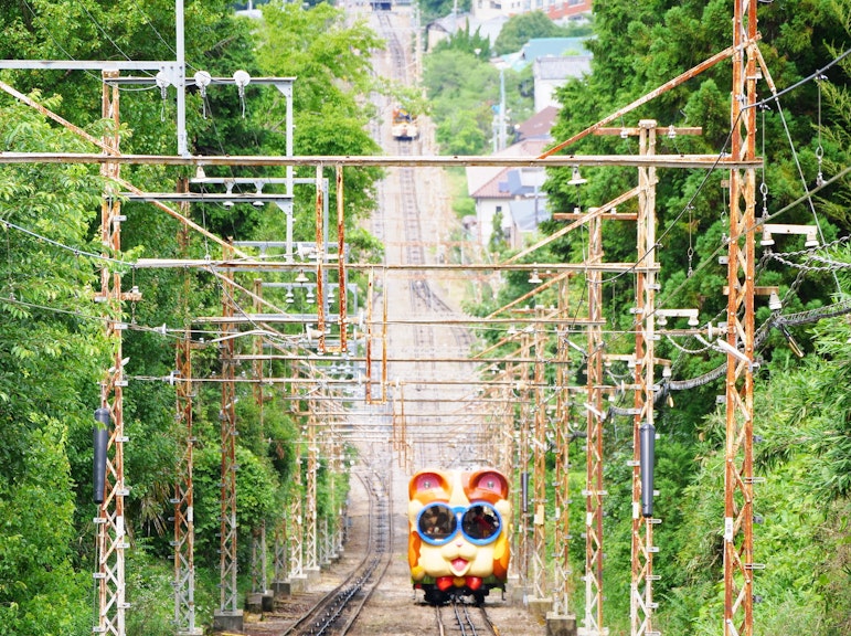 Half-Day Private Guided Tour to Mount Ikoma