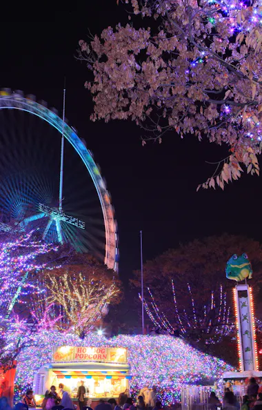 Yomiuri Land Yomiuri Land