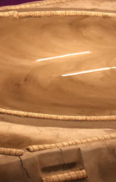 Sumo Ring Sumo Ring